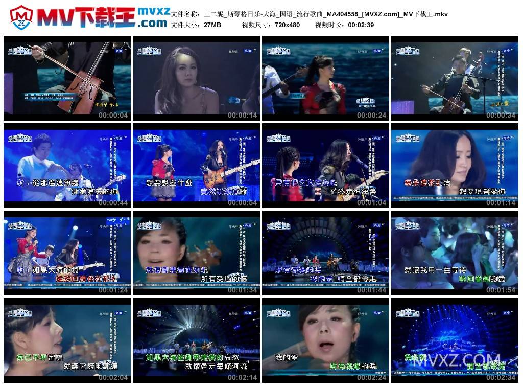 王二妮_斯琴格日乐-大海_国语_流行歌曲_MA404558